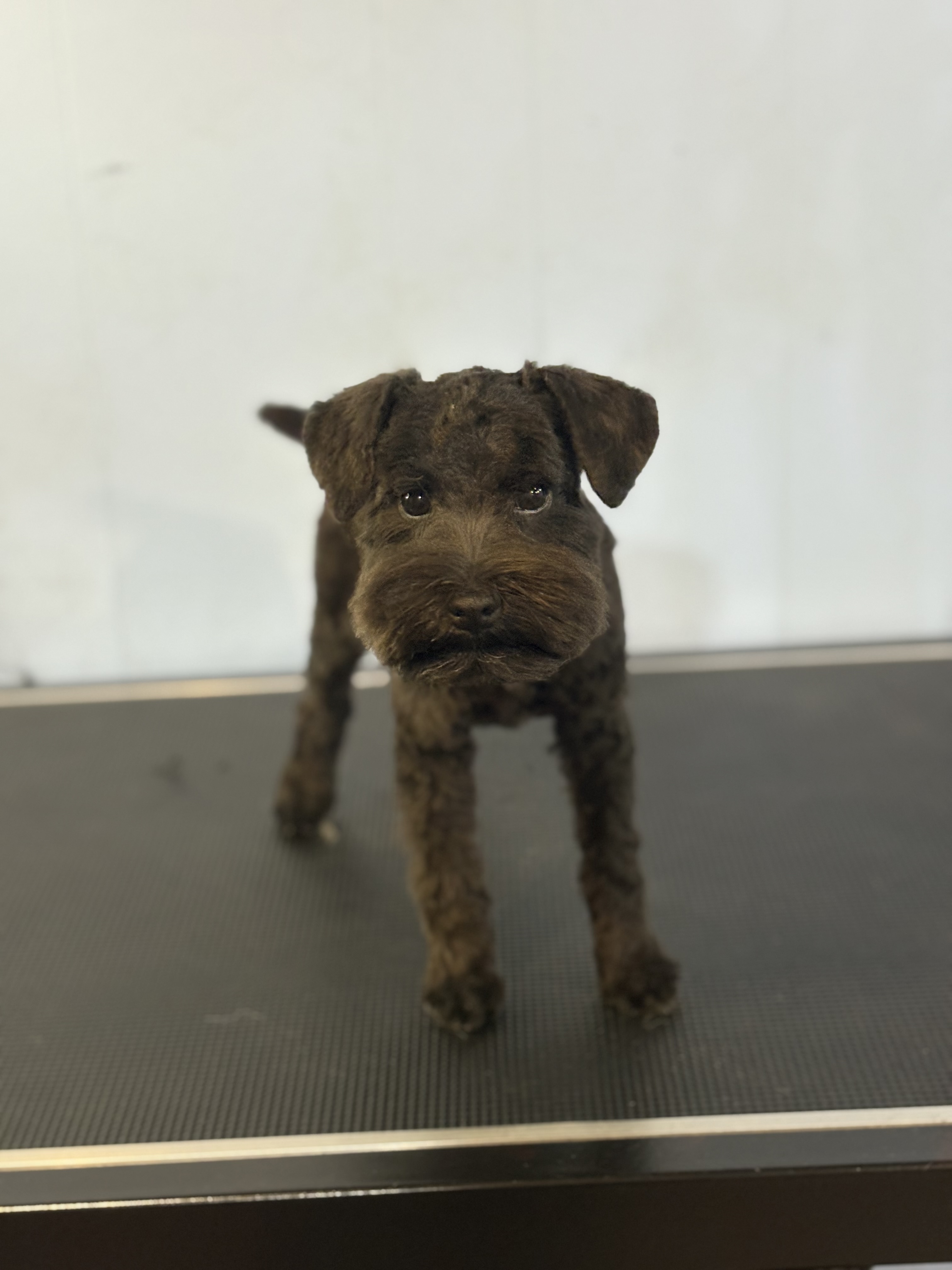Full groom transformation — after
