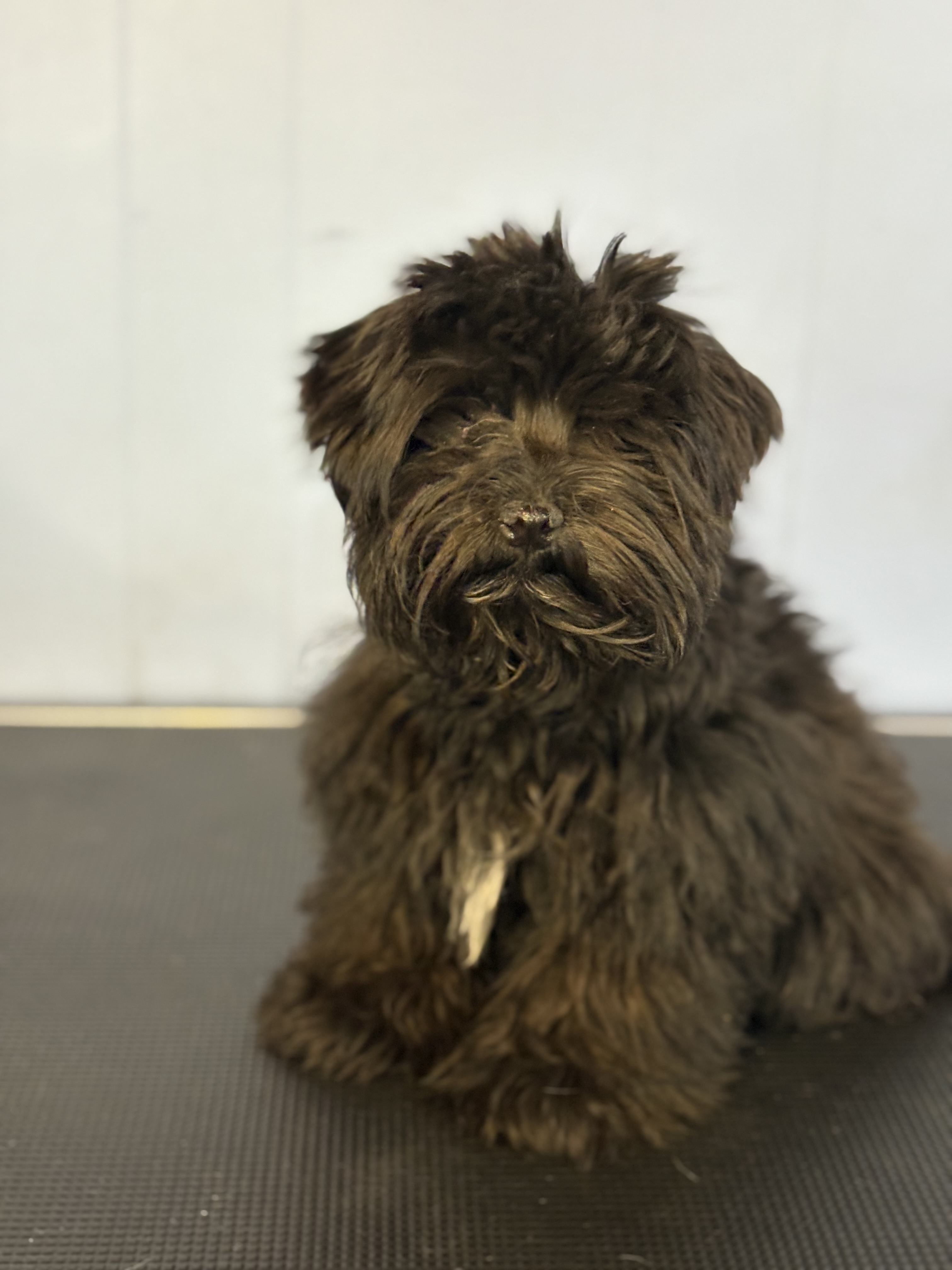 Full groom transformation — before